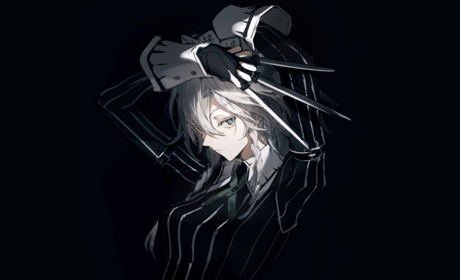 Обои картинки фото аниме, touhou, девушка