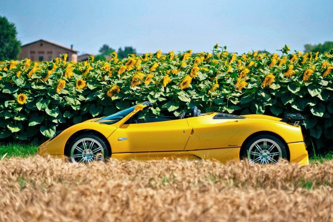 Обои картинки фото автомобили, pagani