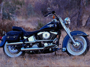 Картинка мотоциклы harley davidson