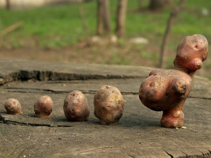 Картинка алексей Яшкин мама героиня юмор приколы