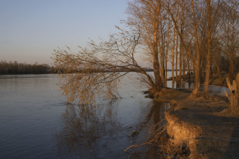 Картинка природа