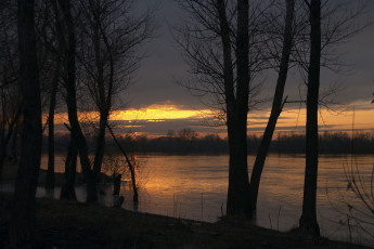 Картинка природа