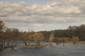 Картинка природа