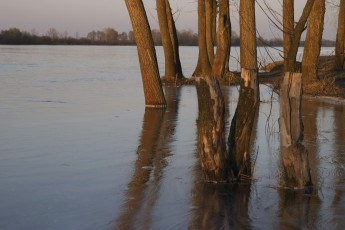 Картинка природа