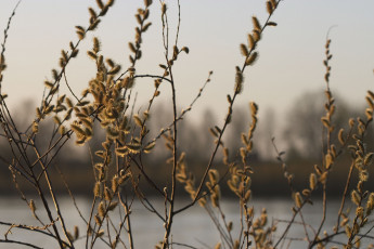 Картинка природа