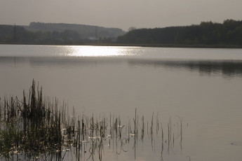 Картинка природа