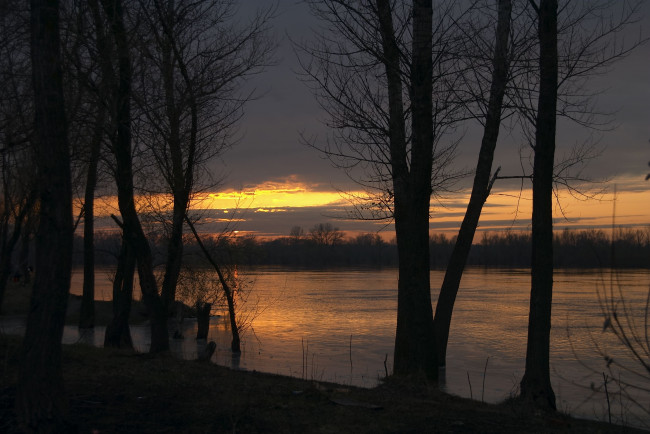 Обои картинки фото природа