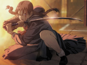 Картинка аниме blood+