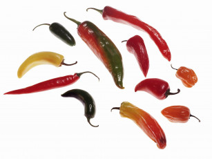 Картинка еда перец