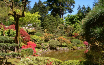 Картинка природа парк