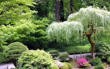 Картинка природа парк