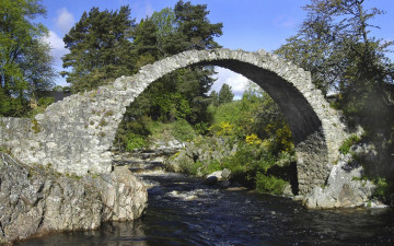 Картинка природа реки озера