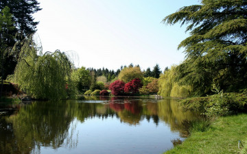 Картинка природа реки озера