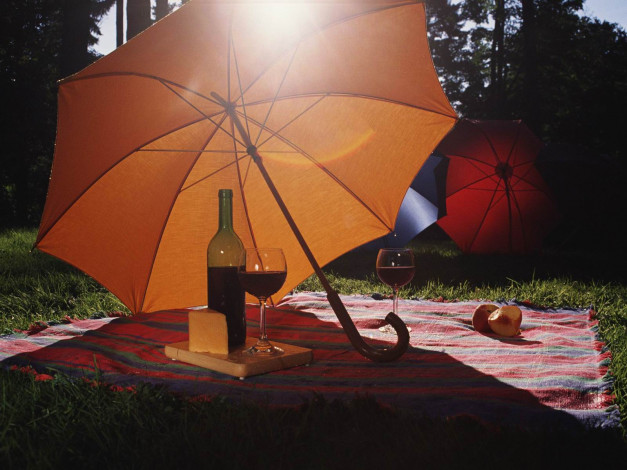 Обои картинки фото разное, сумки, кошельки, зонты