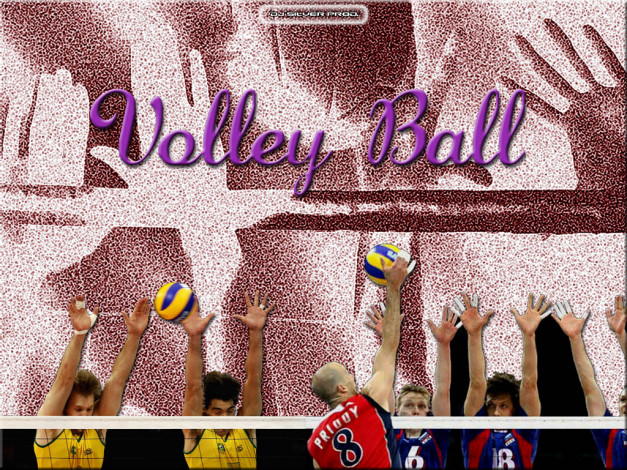 Обои картинки фото спорт, волейбол