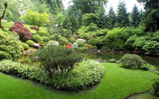 Обои картинки фото природа, парк