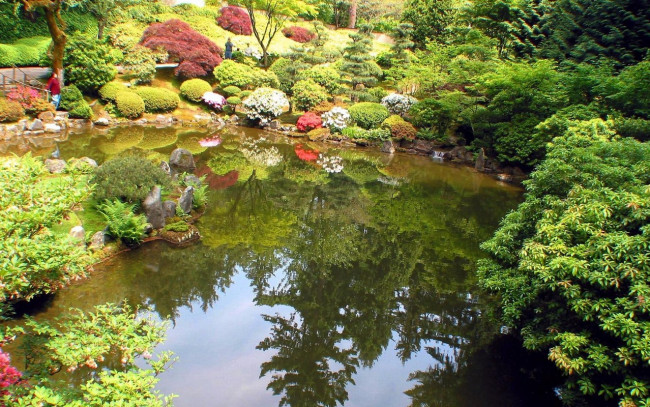 Обои картинки фото природа, парк