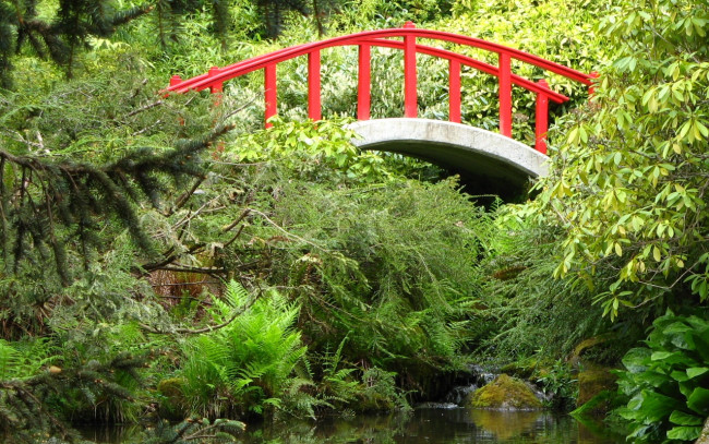 Обои картинки фото природа, парк