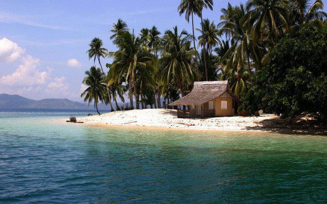 Обои картинки фото природа, тропики