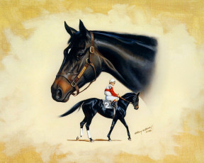 Картинка рисованные животные лошади