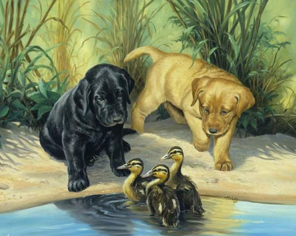 Обои картинки фото рисованные, животные