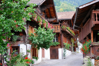 Картинка города улицы площади набережные дома улочка цветы