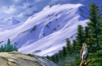 Картинка рисованные животные птицы сокол природа пейзаж