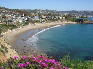 Картинка laguna beach california природа побережье сша калифорния океан пляж цветы дома