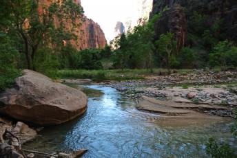 Картинка virgin river in zion national park природа реки озера камнии река пляж луг горы