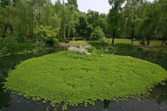 Картинка природа парк ландшафтный ханчжоу