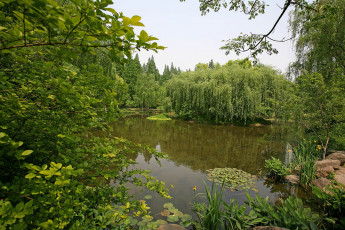 Картинка природа парк ландшафтный ханчжоу