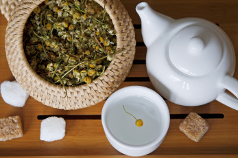 Картинка еда напитки Чай заварник чашка сахар ромашка