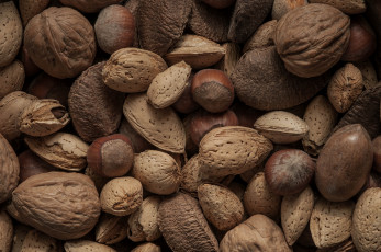 Картинка еда орехи каштаны грецкий орех фундук миндаль