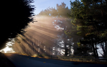 Картинка природа дороги деревья лучи дорога