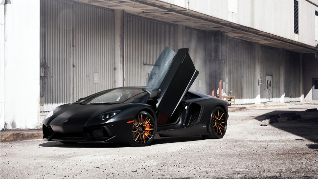 Обои картинки фото lamborghini, aventador, автомобили, автомобиль, мощь, скорость, красота