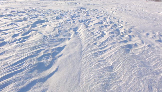 Обои картинки фото природа, зима, снег