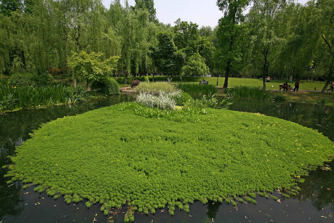 Обои картинки фото природа, парк, ландшафтный, ханчжоу