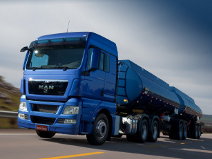 Картинка автомобили man 2012г 29-440 tgx