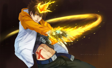 Картинка рисованное -+ +аниме пламя посмертной воли взгляд савада тсунаёши учитель мафиози реборн парень