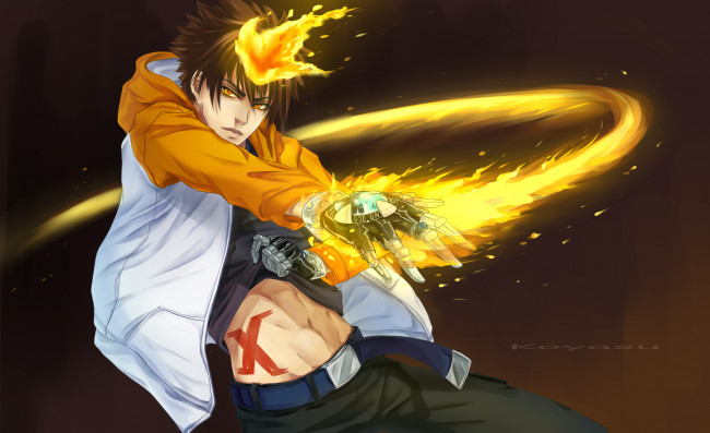 Обои картинки фото рисованное, - ,  аниме, пламя, посмертной, воли, взгляд, савада, тсунаёши, учитель, мафиози, реборн, парень