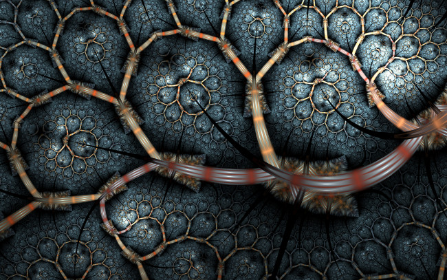 Обои картинки фото 3д графика, фракталы , fractal, фон, цвета, узор