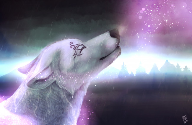 Обои картинки фото рисованное, животные,  собаки, взгляд, собака