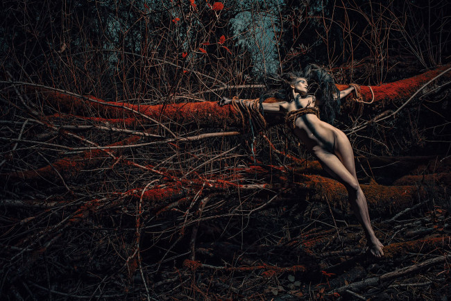 Обои картинки фото фэнтези, фотоарт, девушка, лес, связанная