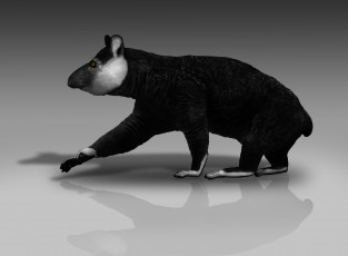 Картинка 3д+графика животные+ animals зверек