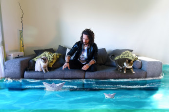 обоя юмор и приколы, комната, вода, кошки, диван, человек