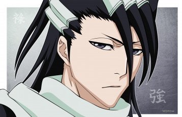 Картинка аниме bleach kuchiki byakuya