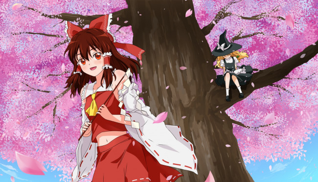 Обои картинки фото аниме, touhou, девушка, фон, взгляд