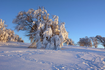 Картинка природа зима простор