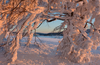 Картинка природа зима простор