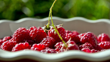 Картинка еда малина ягоды